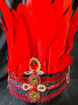 Feather Headress - Image 2